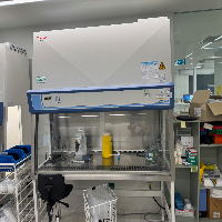 Thermo Safe 2020 6' BioSafety Cabinet image 0